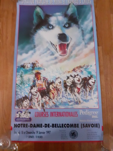 Affiche notre dame - affiche,
