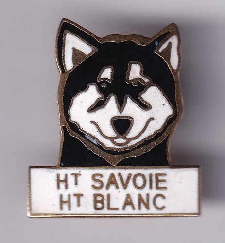 Rare pins pin - pins, hiver