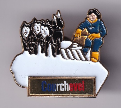 Rare pins pin sport hiver - pin's,